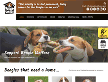 Tablet Screenshot of beaglewelfare.org.uk